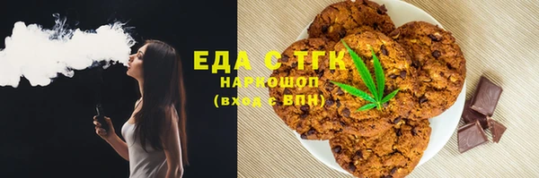 хмурый Гусь-Хрустальный