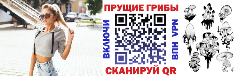 Псилоцибиновые грибы мицелий Дмитров